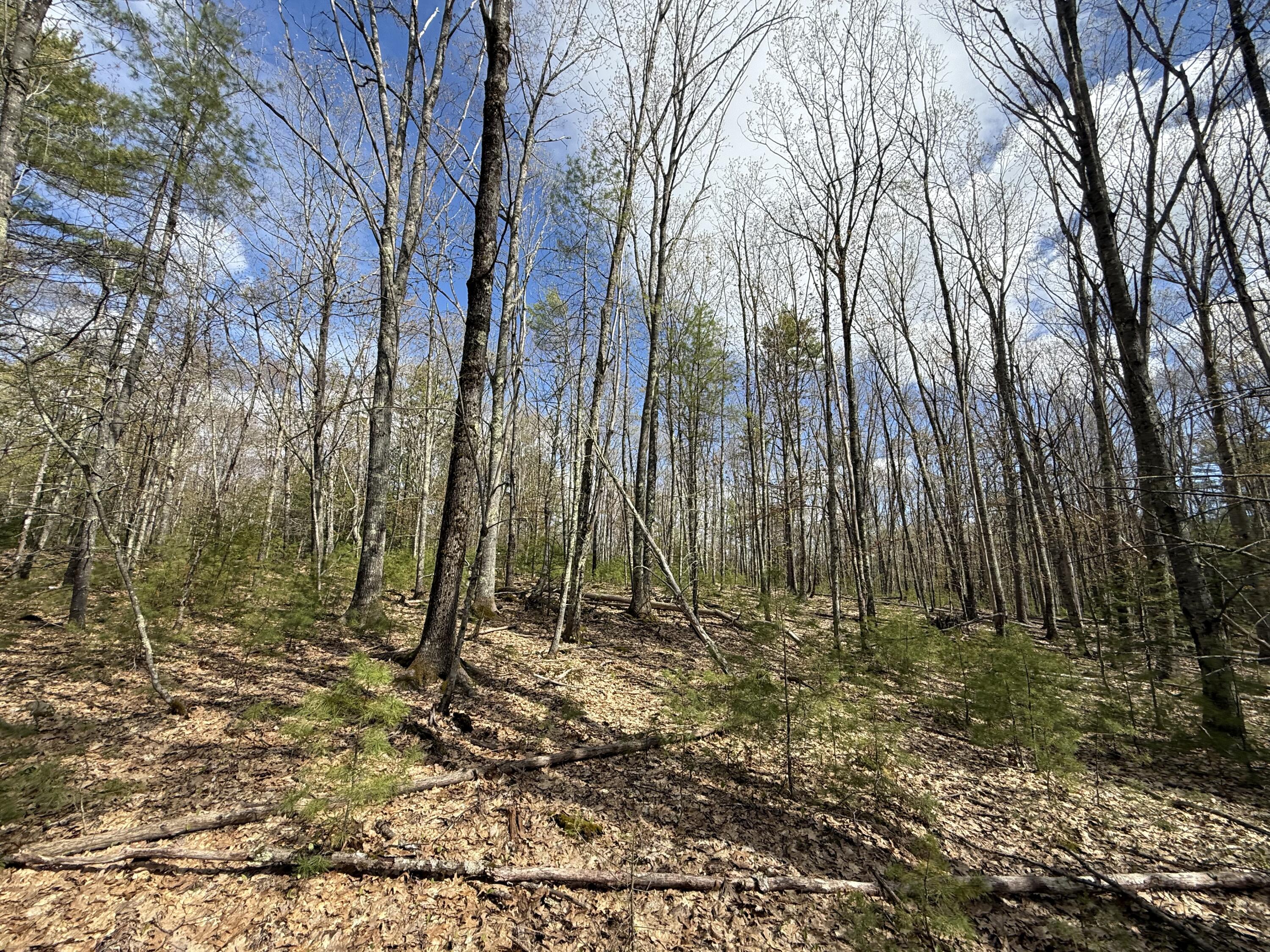 Lot # Lot#8-e01 Lord Road Buxton, ME 04093 - Photo 2 of 4 IMG_7647