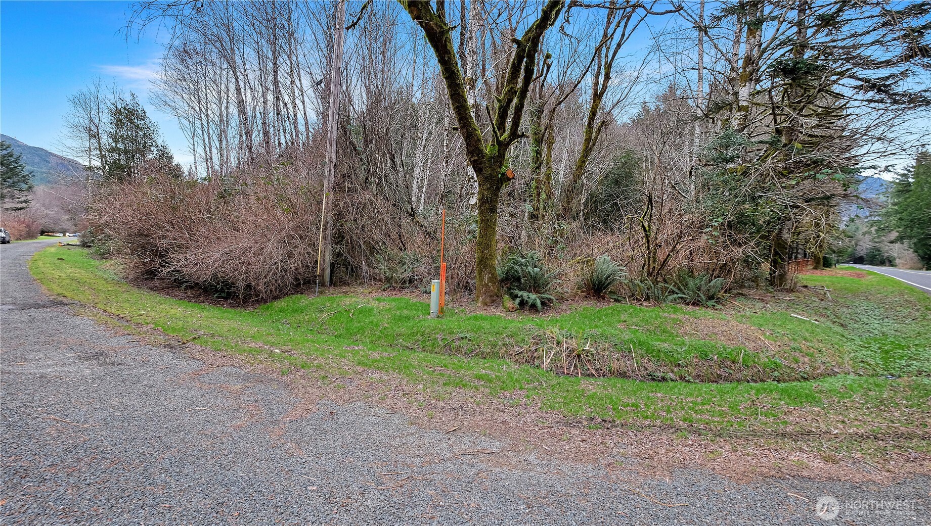 0 Barber Road Clallam Bay, WA 98326 - Photo 2 of 12 a view of backyard with green space