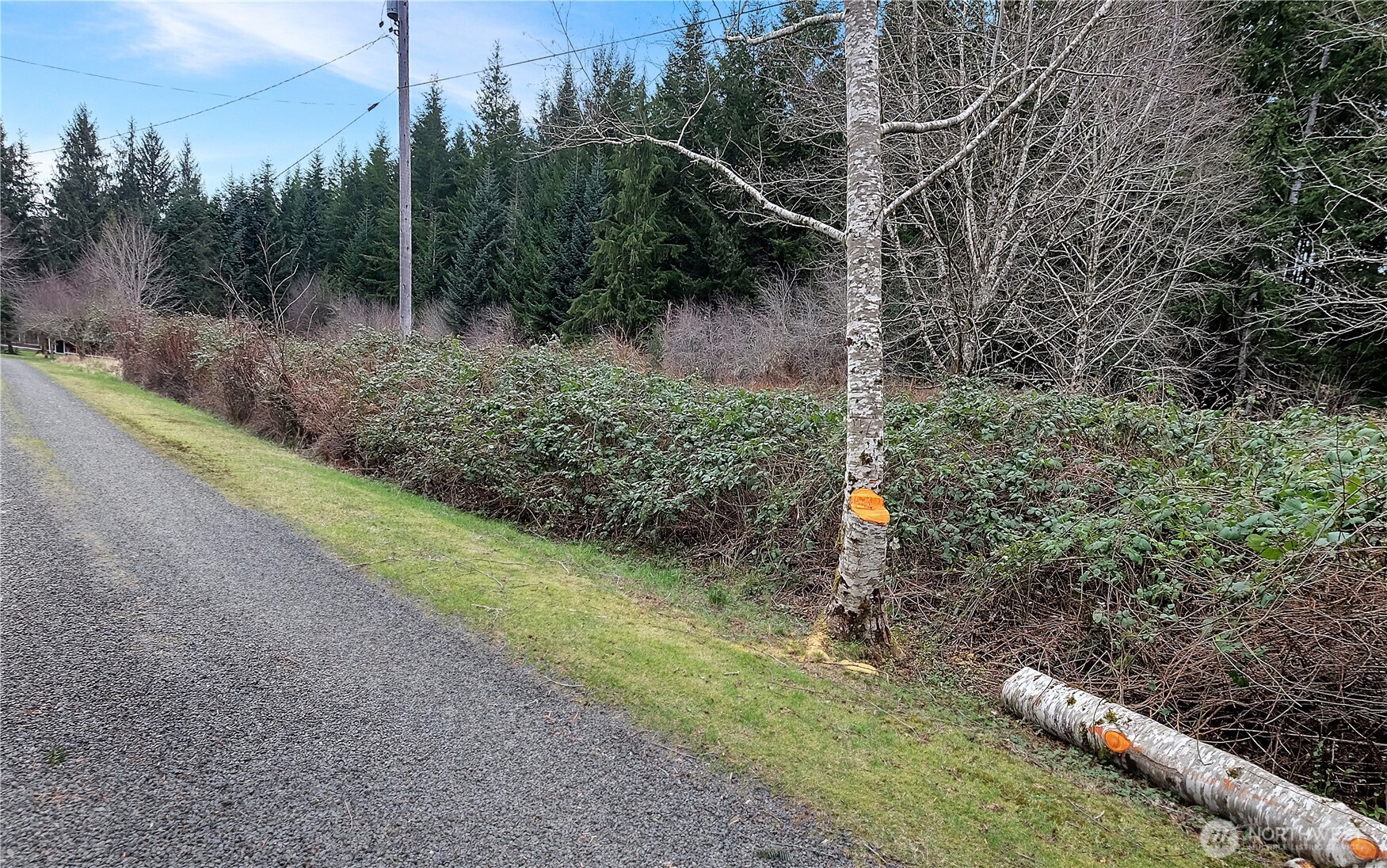 0 Barber Road Clallam Bay, WA 98326 - Photo 3 of 12 a backyard of a house with lots of green space