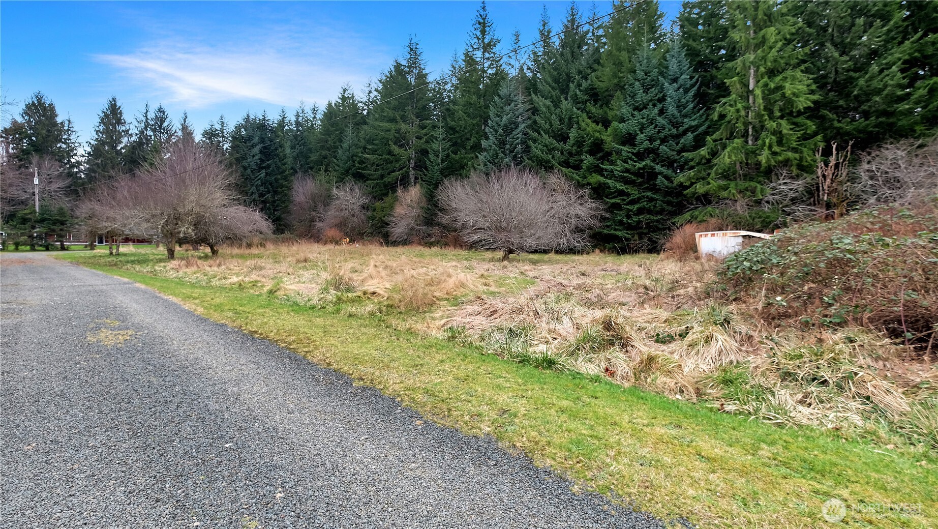 0 Barber Road Clallam Bay, WA 98326 - Photo 4 of 12 a fire hydrant in the middle of a field