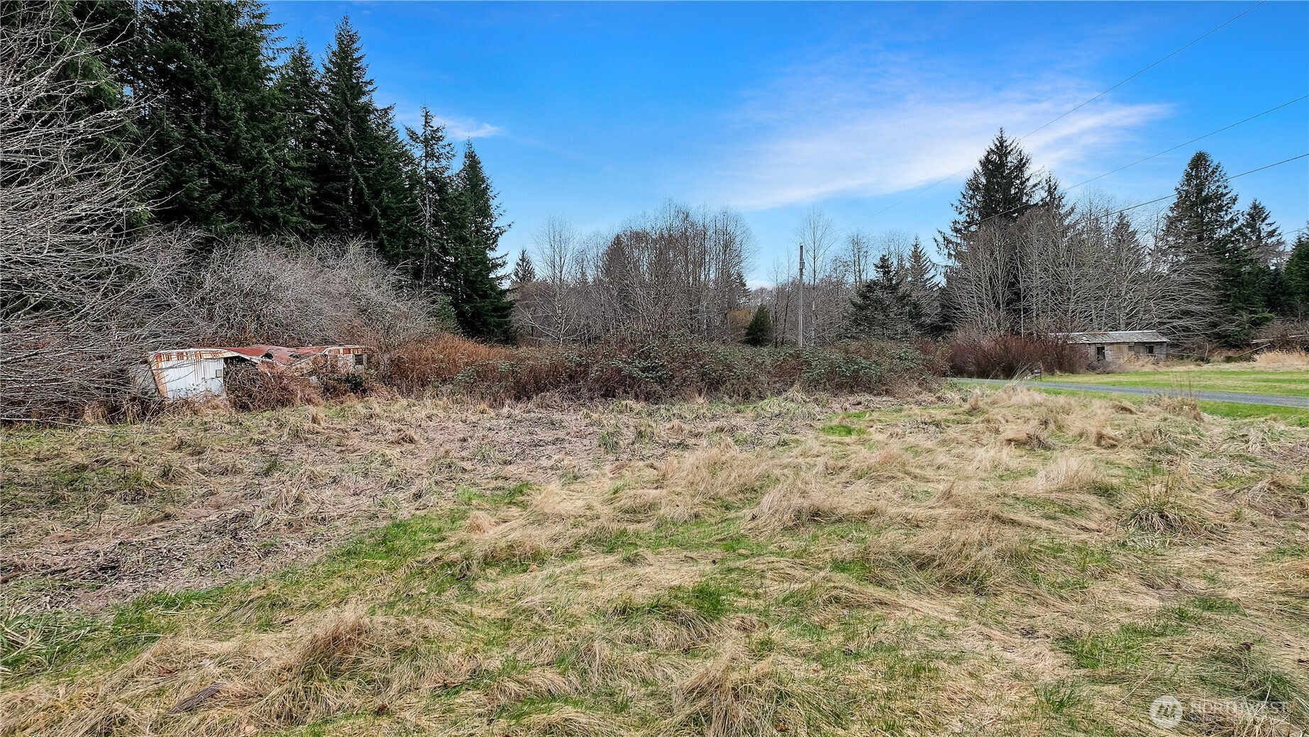 0 Barber Road Clallam Bay, WA 98326 - Photo 5 of 12 a view of a large tree with green field