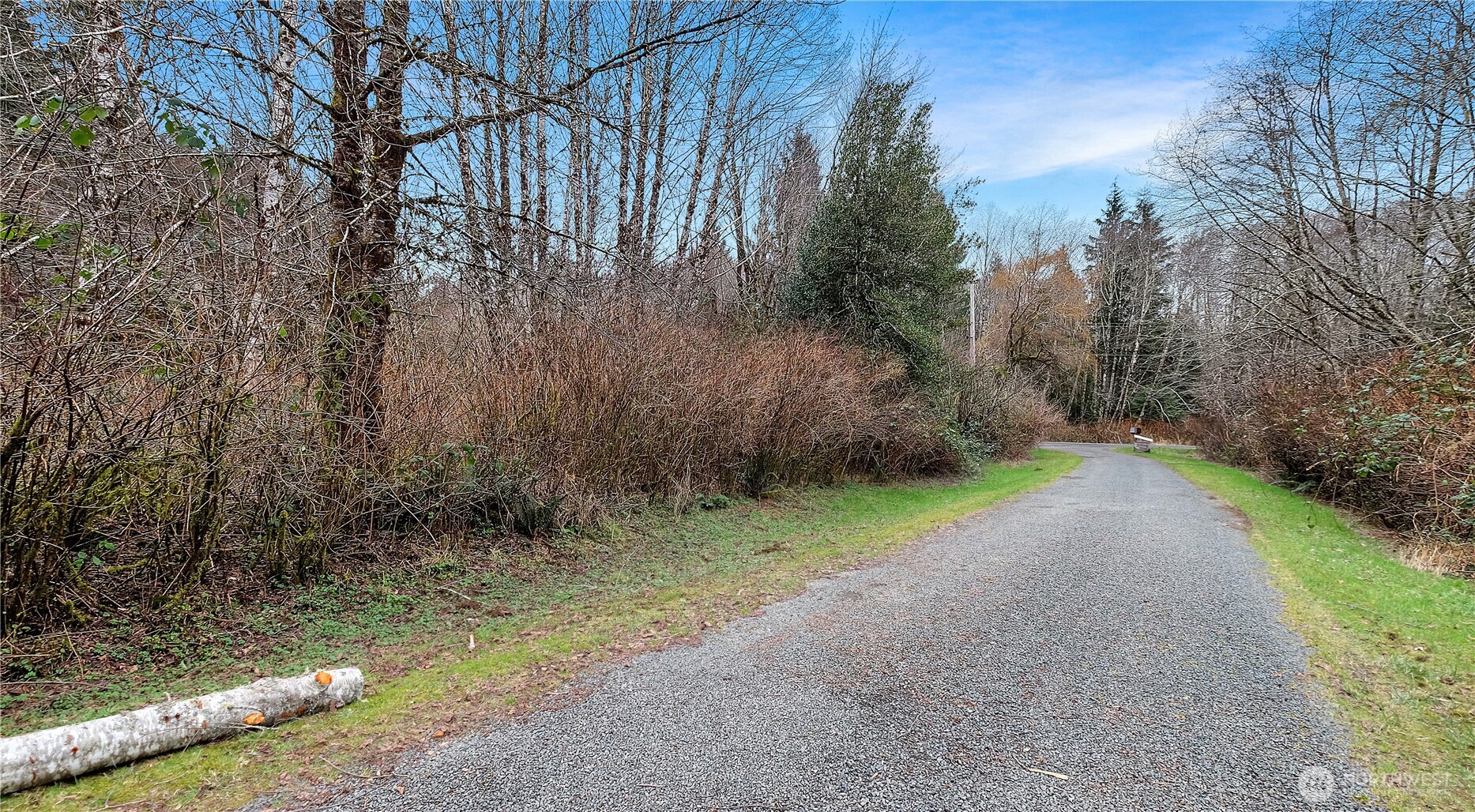 0 Barber Road Clallam Bay, WA 98326 - Photo 6 of 12 a view of a yard with large trees
