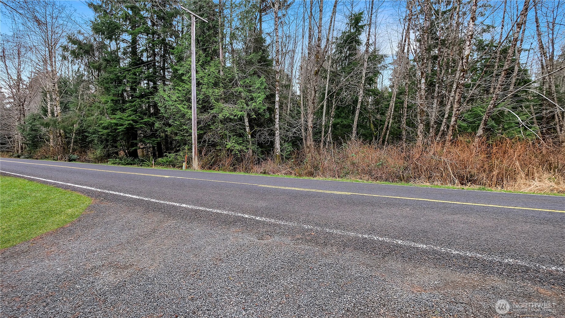 0 Barber Road Clallam Bay, WA 98326 - Photo 7 of 12 a view of a yard with large trees