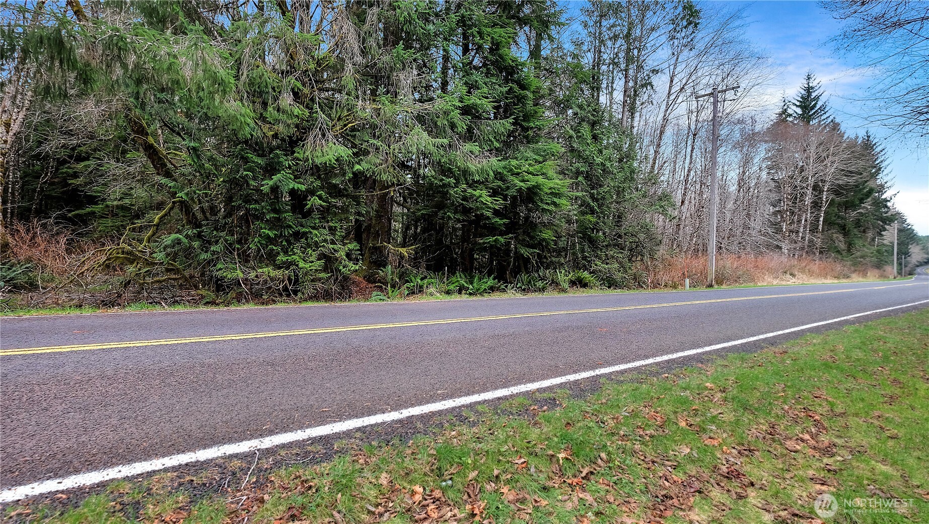0 Barber Road Clallam Bay, WA 98326 - Photo 8 of 12 a view of a yard