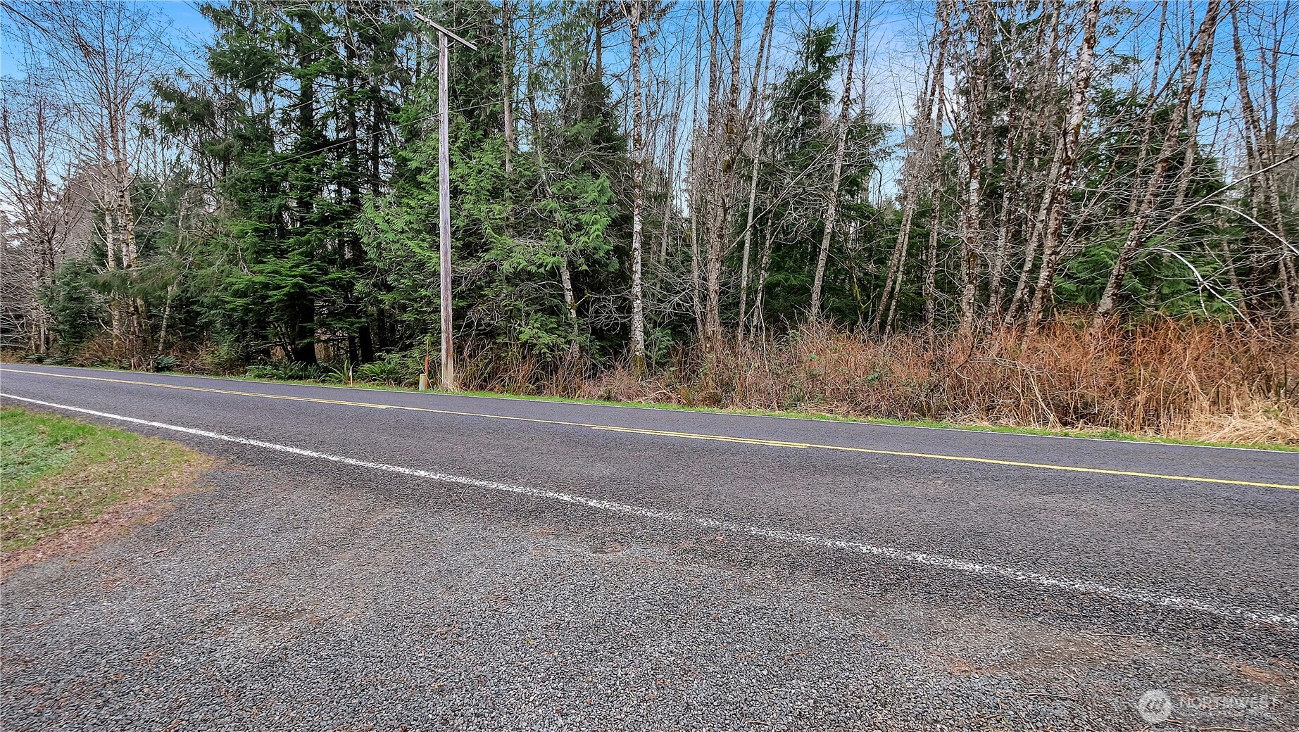 0 Barber Road Clallam Bay, WA 98326 - Photo 9 of 12 a view of a yard with large trees