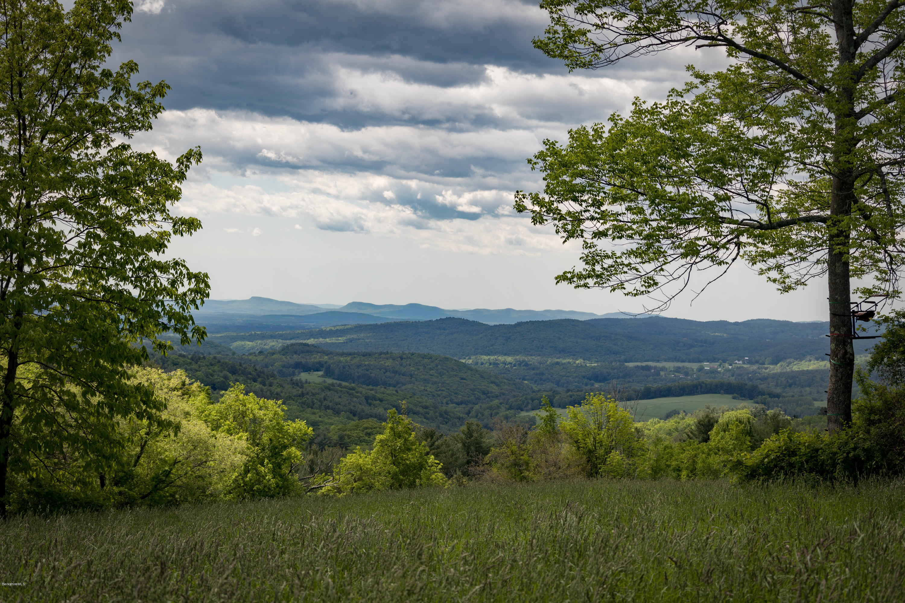 54 Patten Road Shelburne, MA 01370 - Photo 1 of 30 a view of a lush green mountain