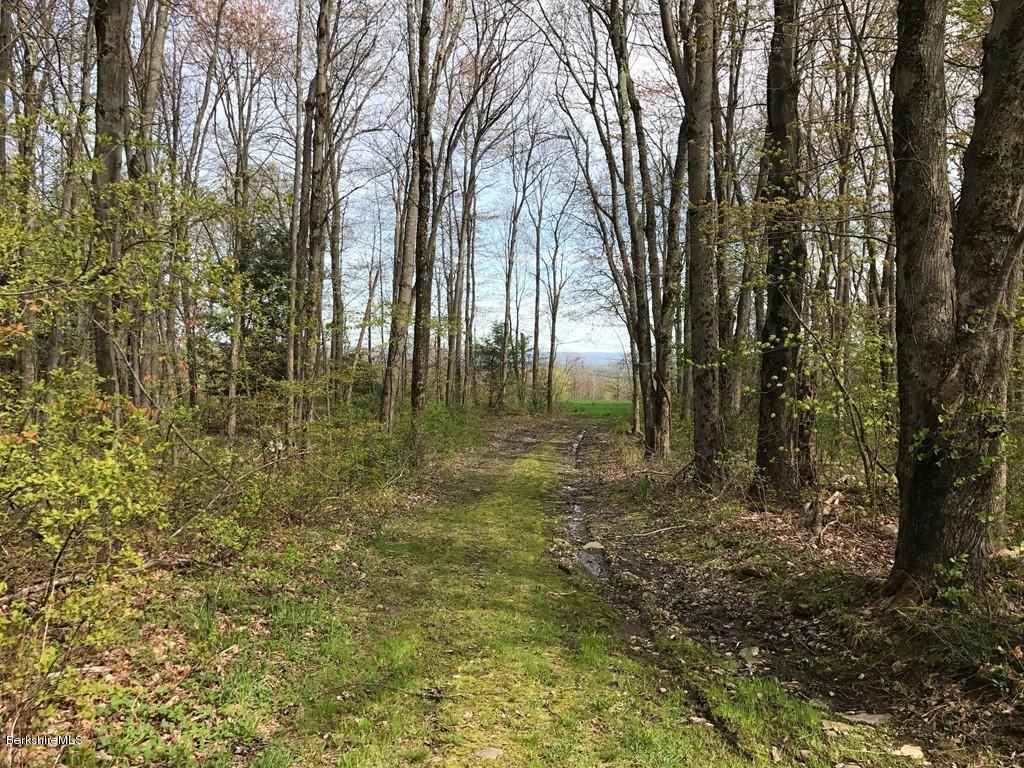 54 Patten Road Shelburne, MA 01370 - Photo 27 of 30 a view of outdoor space with large trees