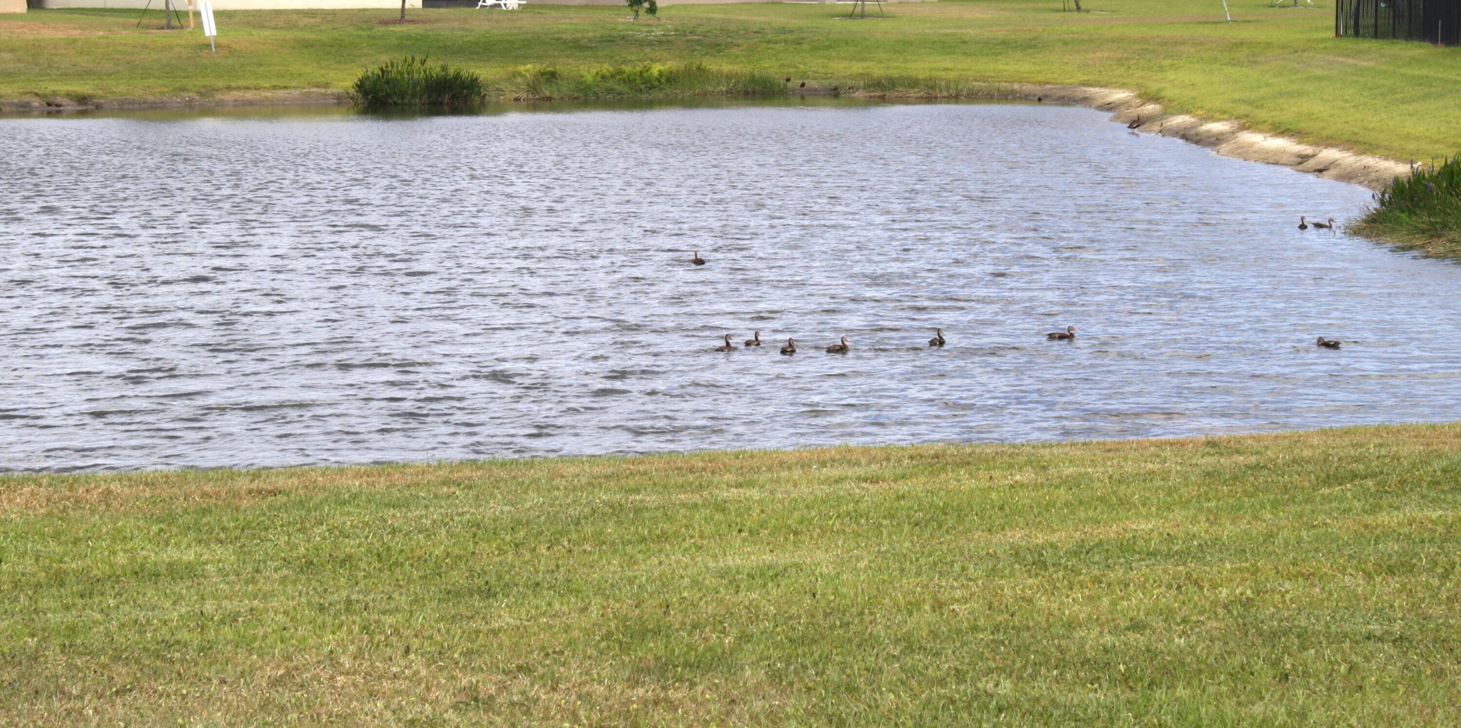 3453 Trinity Circle Fort Pierce, FL 34945 - Photo 20 of 21 IMG_2385