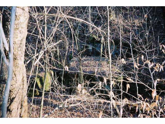 0 Pumpkin Ridge, Unit LOT 2 McArthur, OH 45651 - Photo 2 of 2