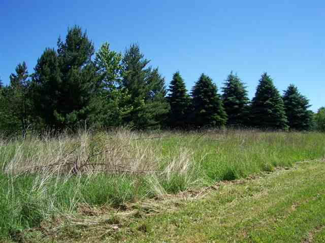 78300 Fisher Road Romeo, MI 48065 - Photo 16 of 21 31038062-16.JPG