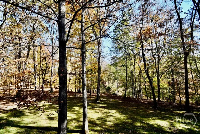 $725,000 | 218 Thornhill Drive, Athens, GA 30607