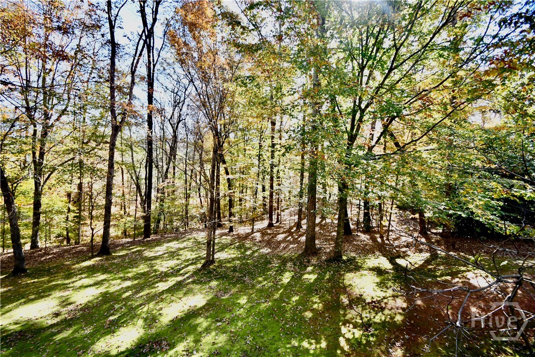 218 Thornhill Drive Athens, GA 30607 - Photo 61 of 68