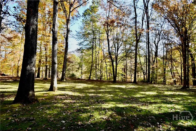 $725,000 | 218 Thornhill Drive, Athens, GA 30607