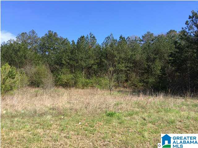 79 Highway 79, Unit 3 9 Cleveland, AL 35049 - Photo 3 of 21