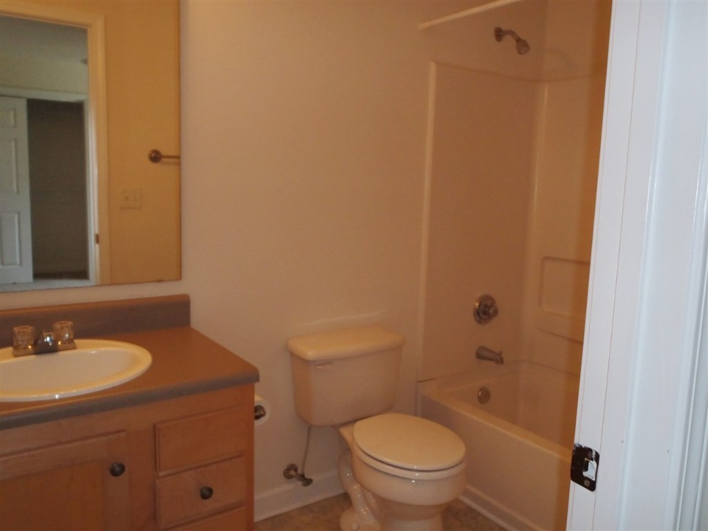 1633 Harts Ridge Drive Seneca, SC 29678 - Photo 15 of 32 Full Bathroom