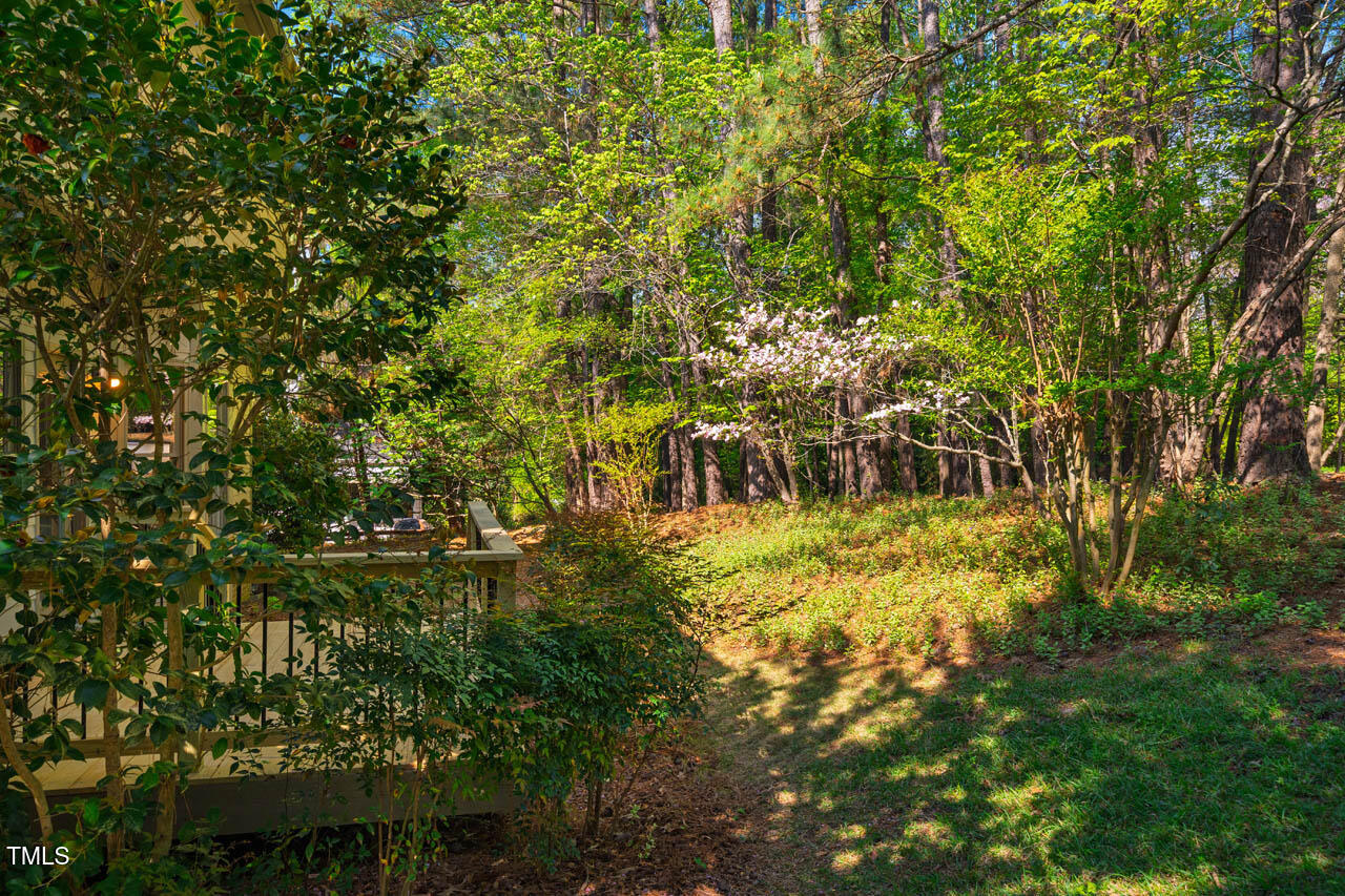 103 Windhover Drive Chapel Hill, NC 27514 - Photo 50 of 61 103WindhoverDr-11