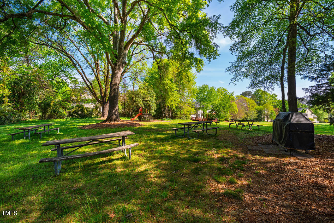 103 Windhover Drive Chapel Hill, NC 27514 - Photo 51 of 61 a view of a park with large trees