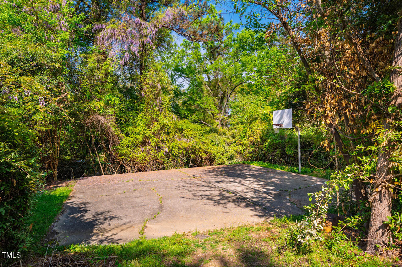 103 Windhover Drive Chapel Hill, NC 27514 - Photo 53 of 61 a view of a plants and trees