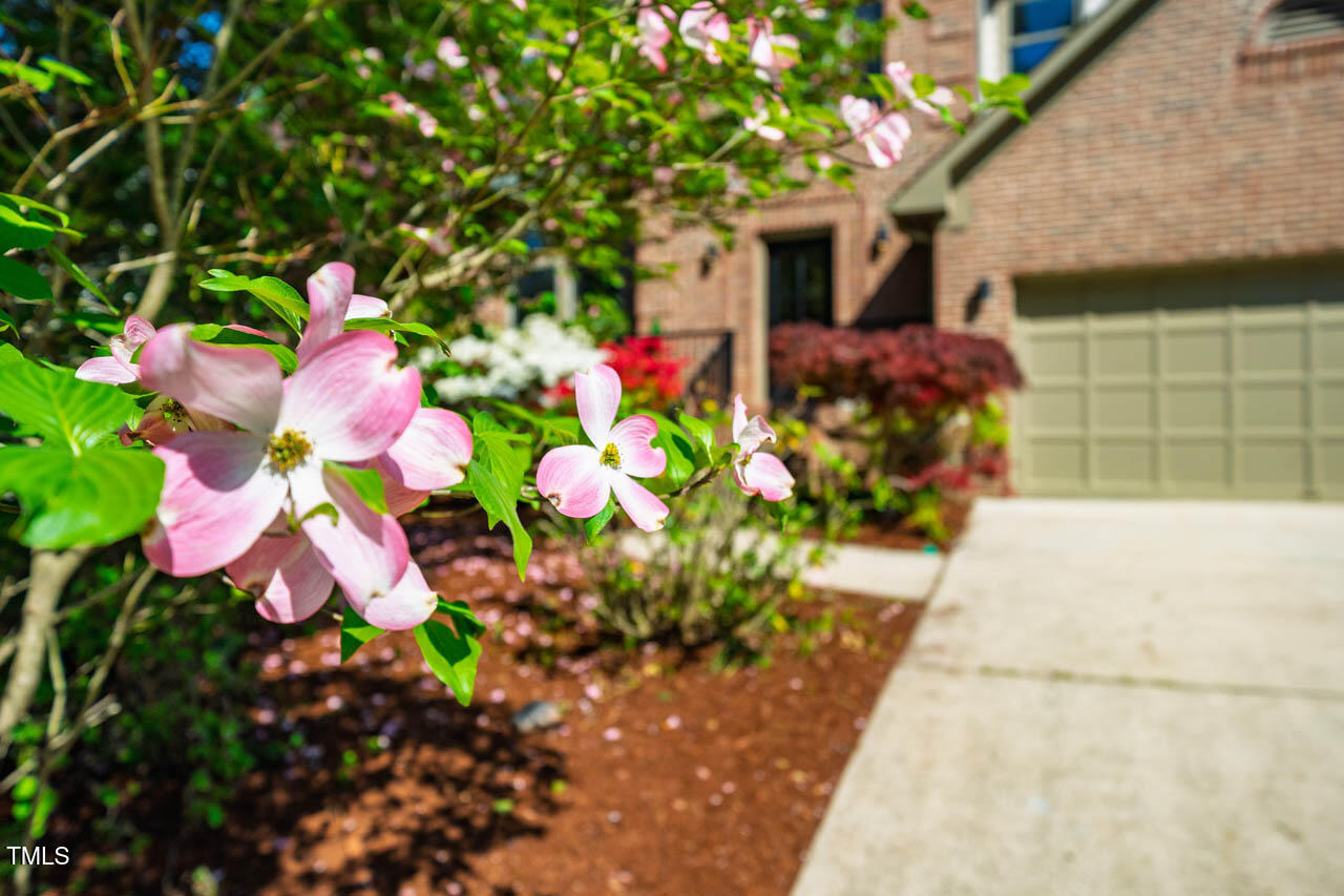 103 Windhover Drive Chapel Hill, NC 27514 - Photo 56 of 61 103WindhoverDr-05