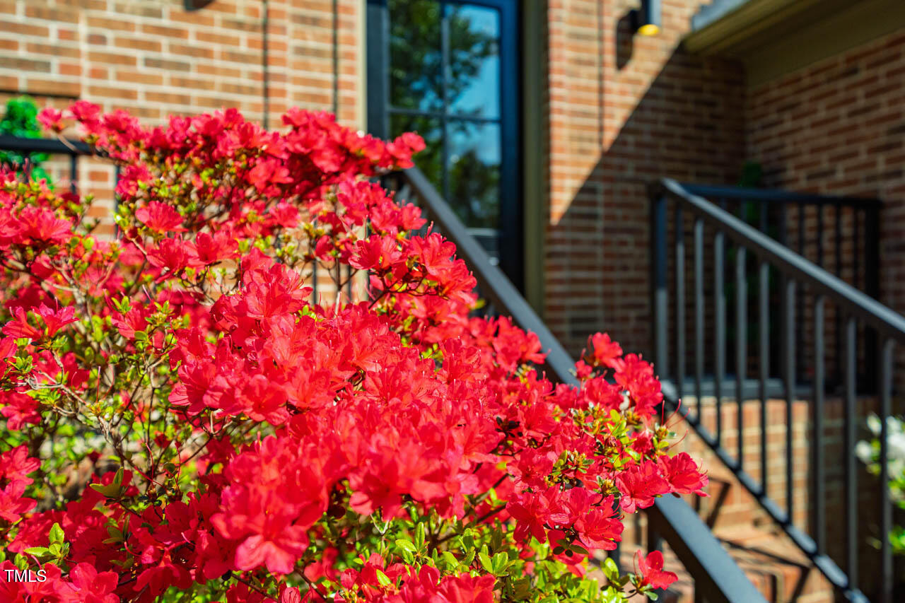 103 Windhover Drive Chapel Hill, NC 27514 - Photo 57 of 61 a flower pot in front of a house