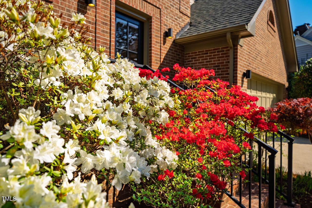 103 Windhover Drive Chapel Hill, NC 27514 - Photo 58 of 61 103WindhoverDr-07