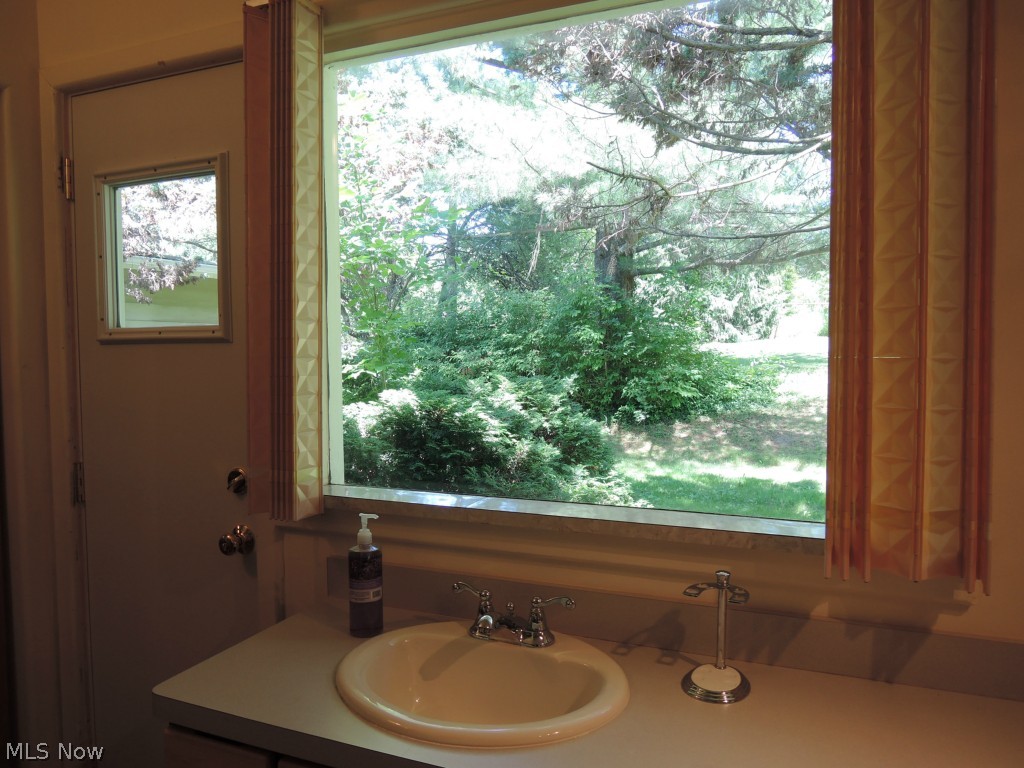 13091 County Line Road Chesterland, OH 44026 - Photo 19 of 23 A view from the sink in the master bath with a new door to the back yard.