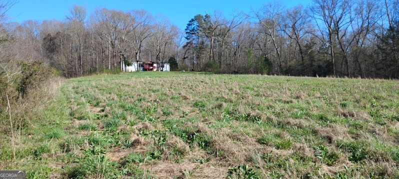 2331 Kesler Road Carnesville, GA 30521 - Photo 6 of 50 a view of a yard with large trees