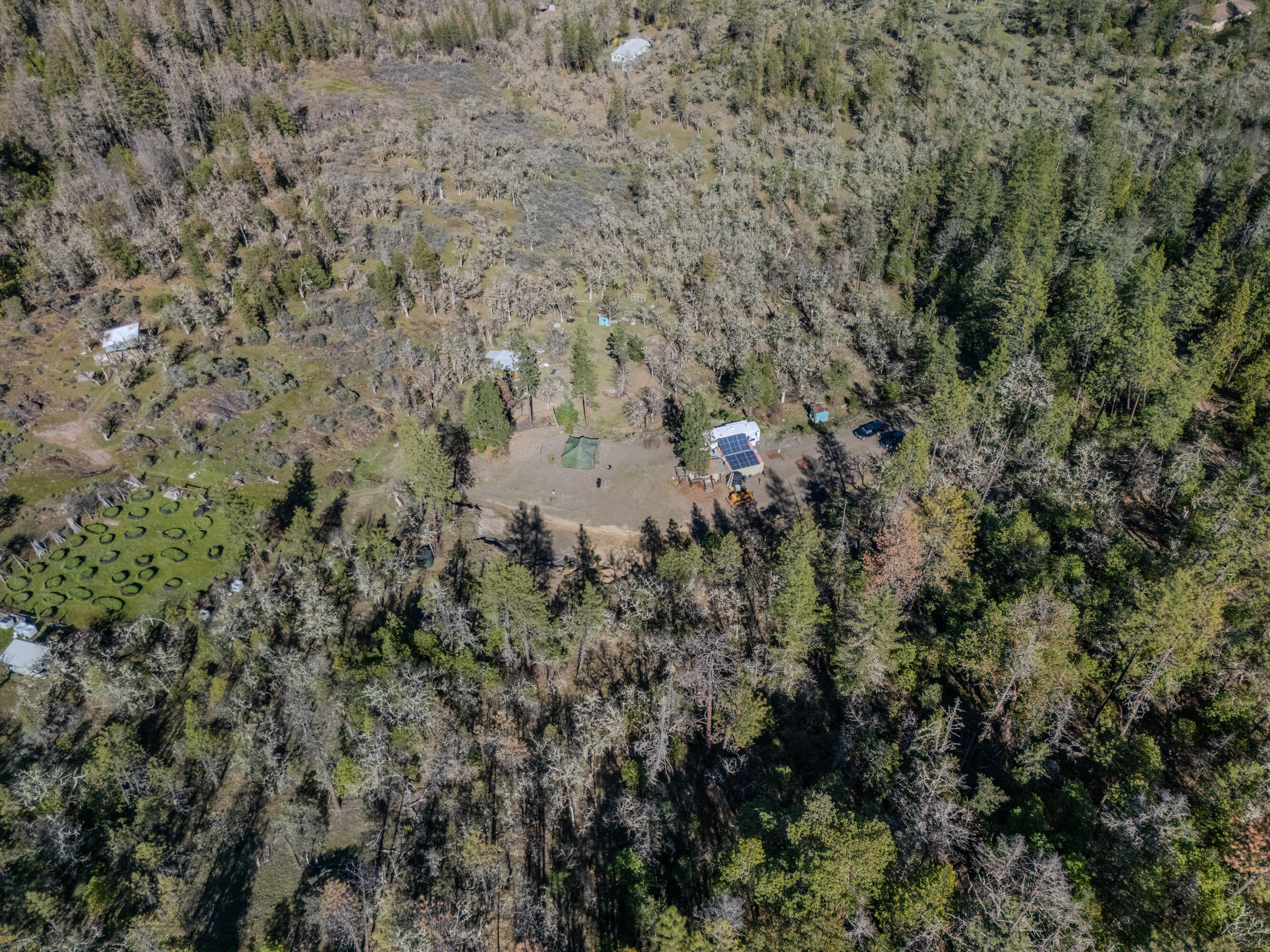 300 Citadel Road Trail, OR 97541 - Photo 23 of 25 a view of a yard with a tree