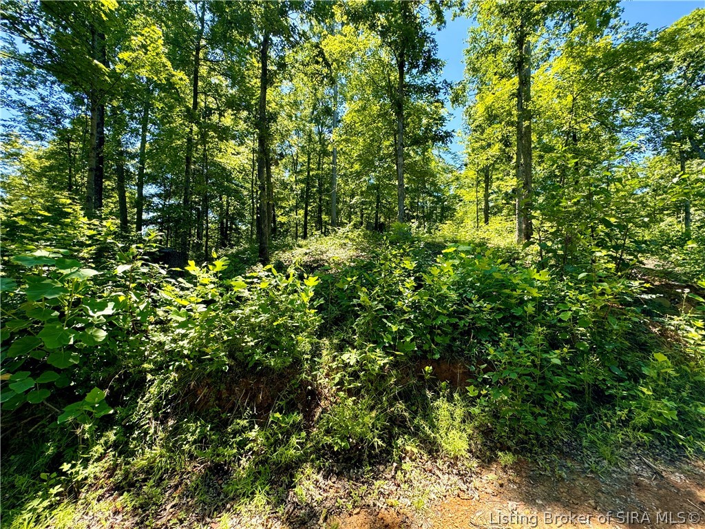 8009 Alamo Road Tell City, IN 47586 - Photo 13 of 38 Gallery Image 13
