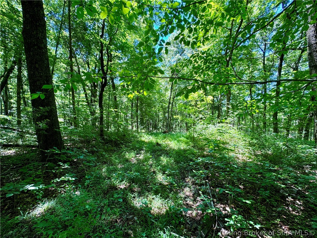 8009 Alamo Road Tell City, IN 47586 - Photo 23 of 38 Gallery Image 23