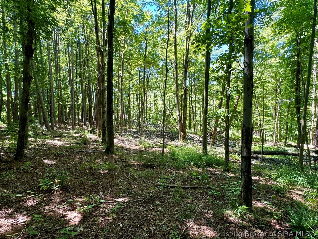 8009 Alamo Road Tell City, IN 47586 - Photo 28 of 38 Gallery Image 28