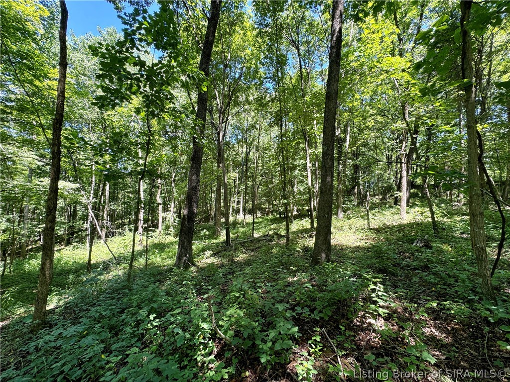 8009 Alamo Road Tell City, IN 47586 - Photo 31 of 38 Gallery Image 31