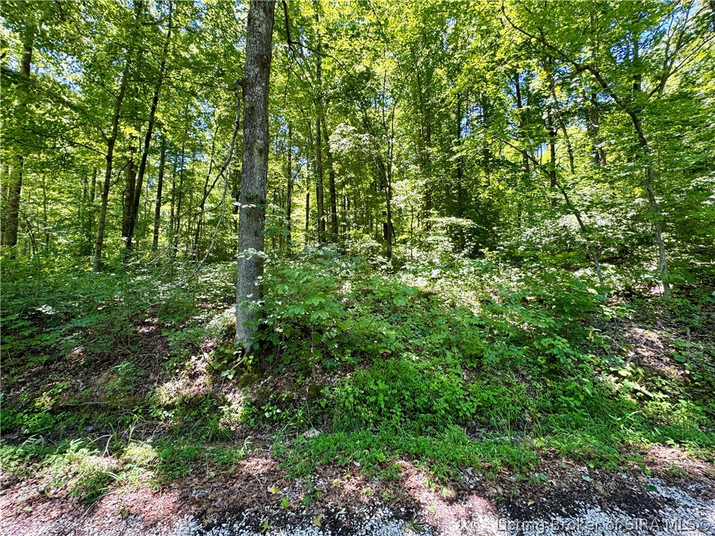 8009 Alamo Road Tell City, IN 47586 - Photo 38 of 38 Gallery Image 38
