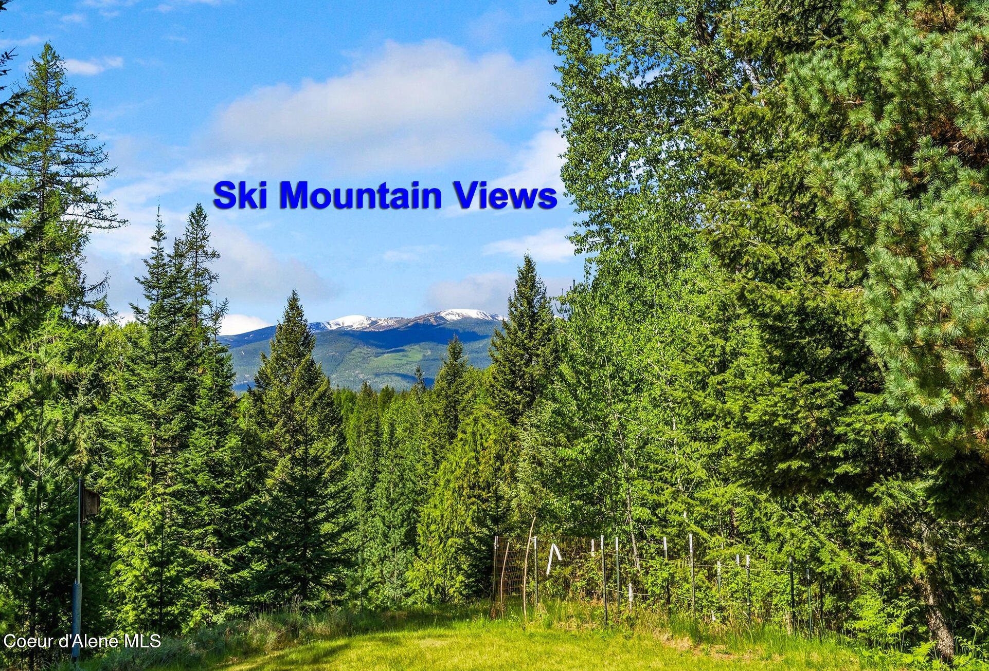 1196 Gold Creek Road Sandpoint, ID 83864 - Photo 4 of 66 .