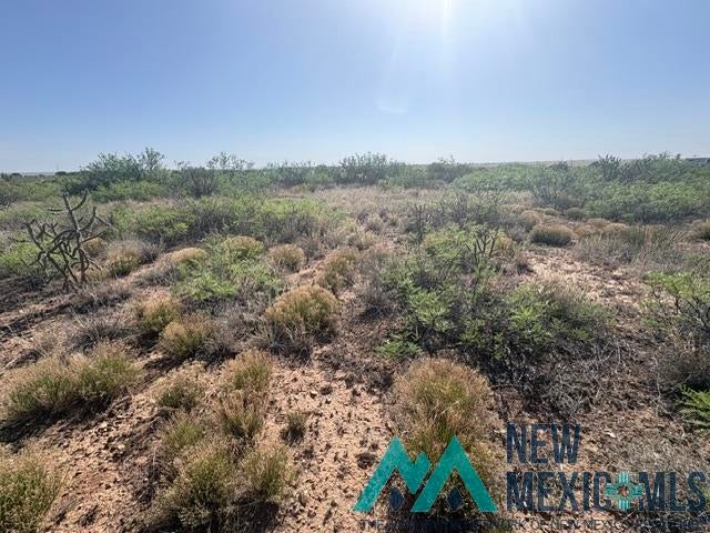 48 State Road 203 Fort Sumner, NM 88119 - Photo 6 of 17 Gallery Image 6