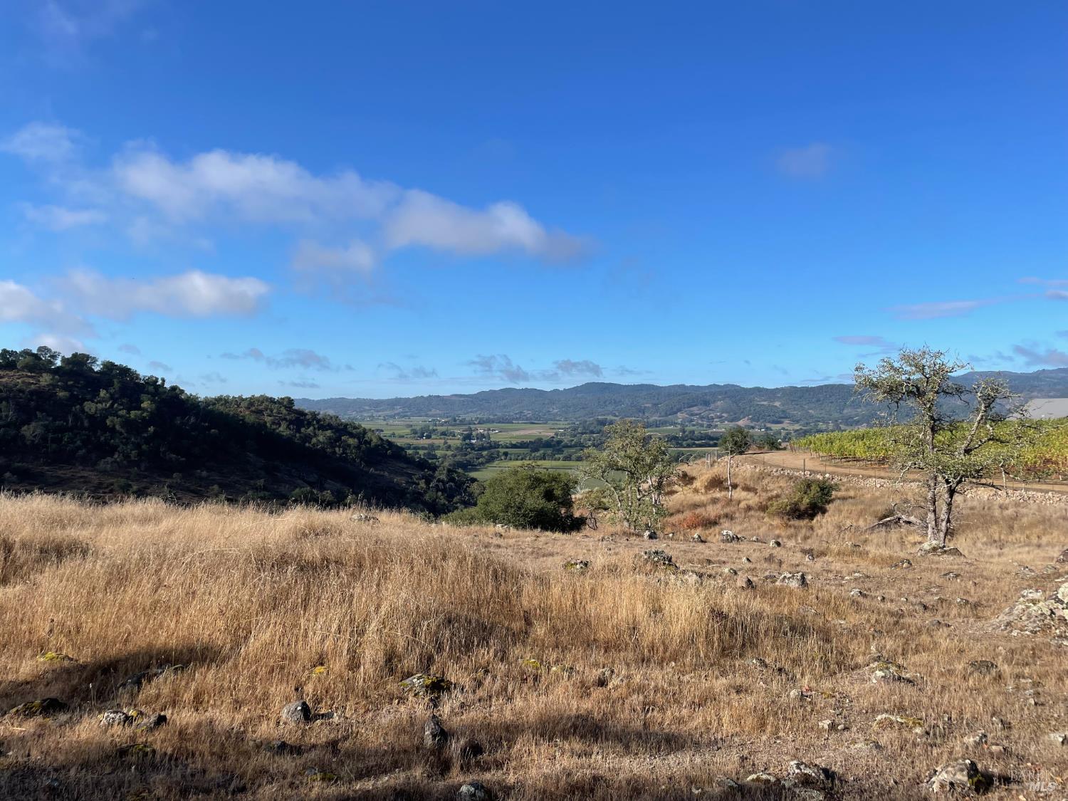 0 Chimney Rock Road Napa, CA 94558 - Photo 7 of 10
