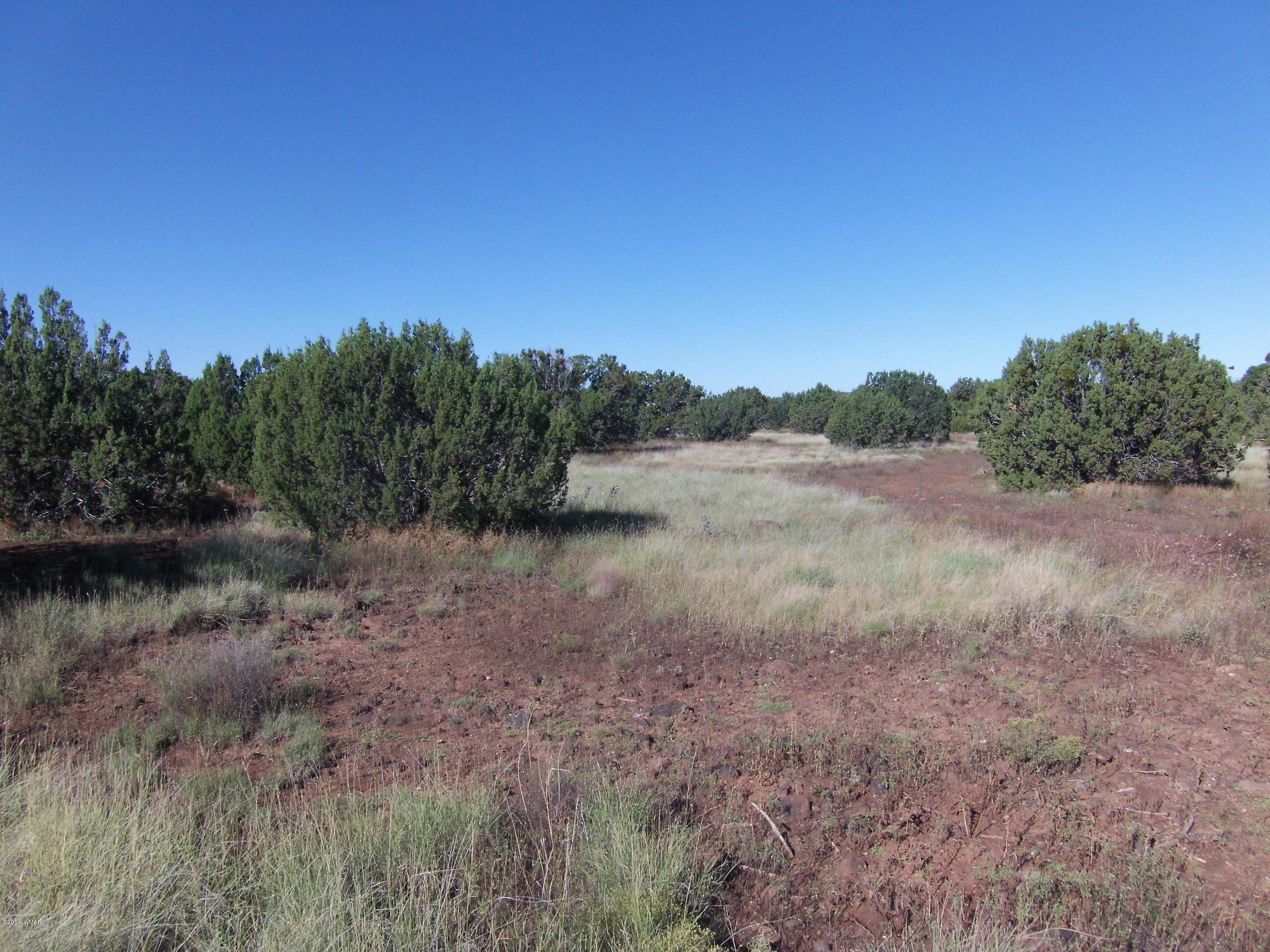 2054 Supancheck Road Show Low, AZ 85901 - Photo 1 of 8 Gallery Image 1
