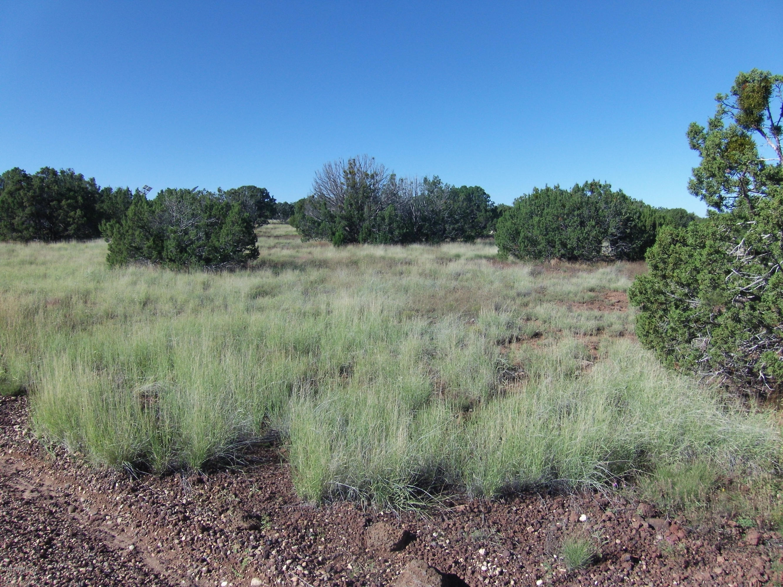 2054 Supancheck Road Show Low, AZ 85901 - Photo 3 of 8 Gallery Image 3