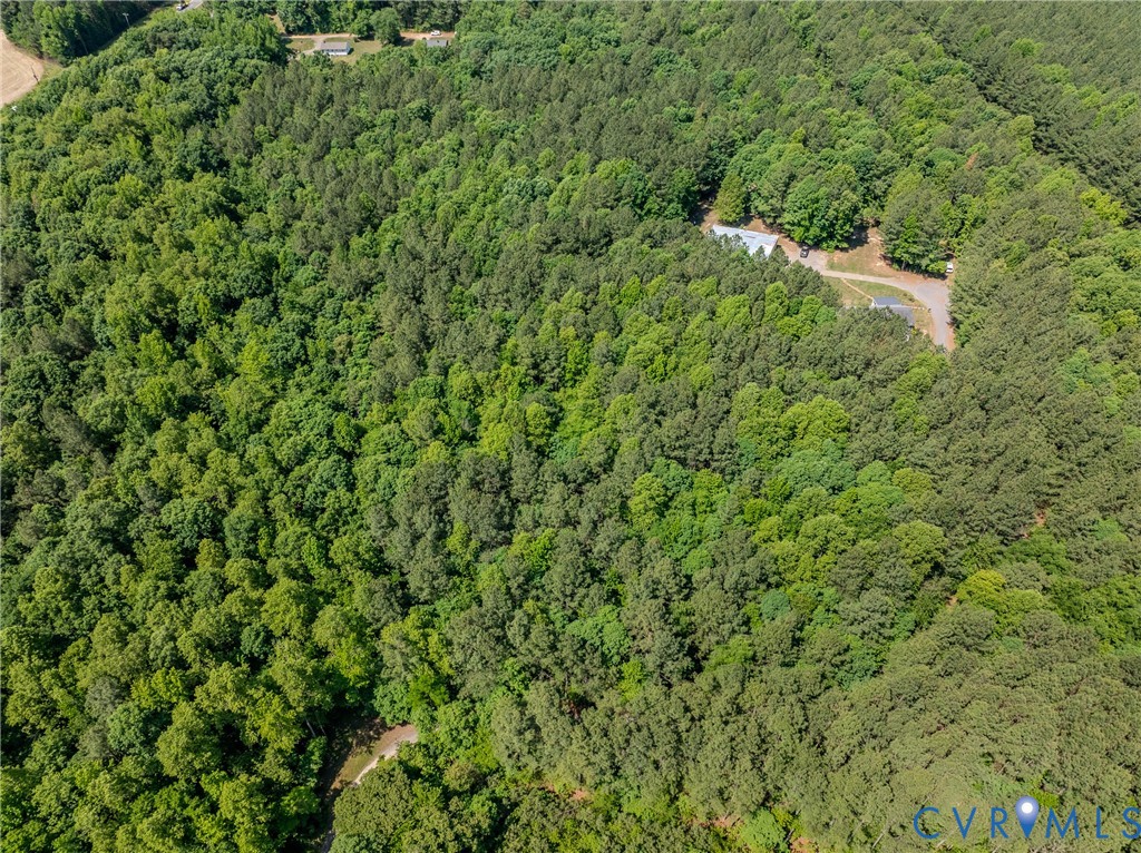8025 Colemans Lake Road Church Road, VA 23850 - Photo 5 of 21 a view of a forest with a tree