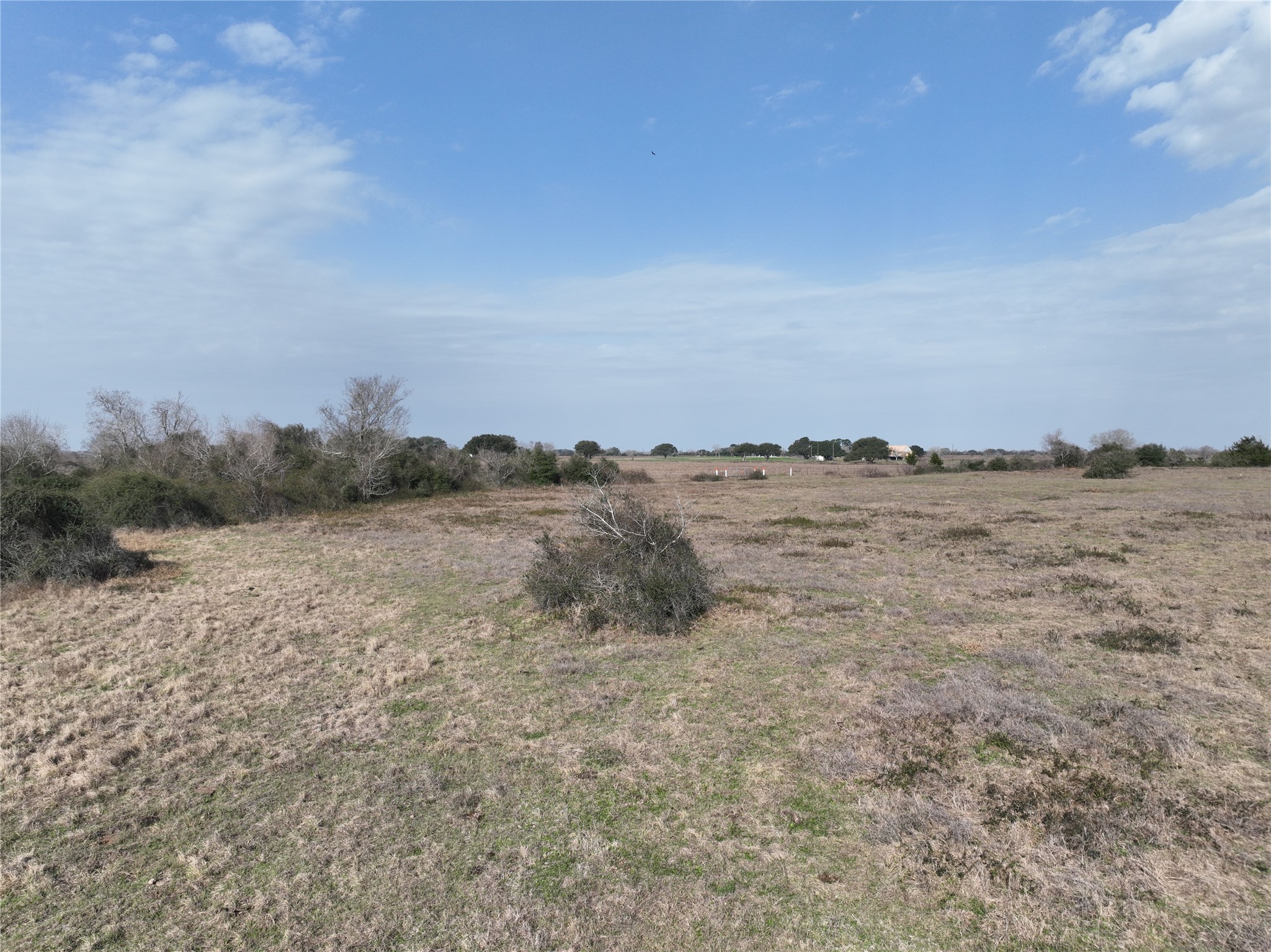 0 Schindler Road Alleyton, TX 78935 - Photo 27 of 39 Mid Pasture.