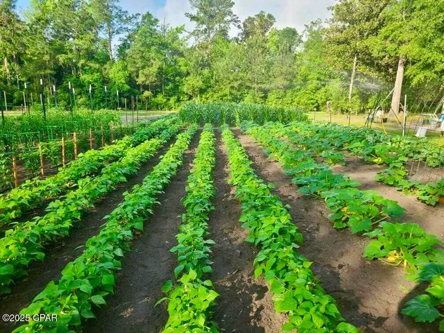 $849,000 | 3130 Magnolia Way, Vernon, FL 32462