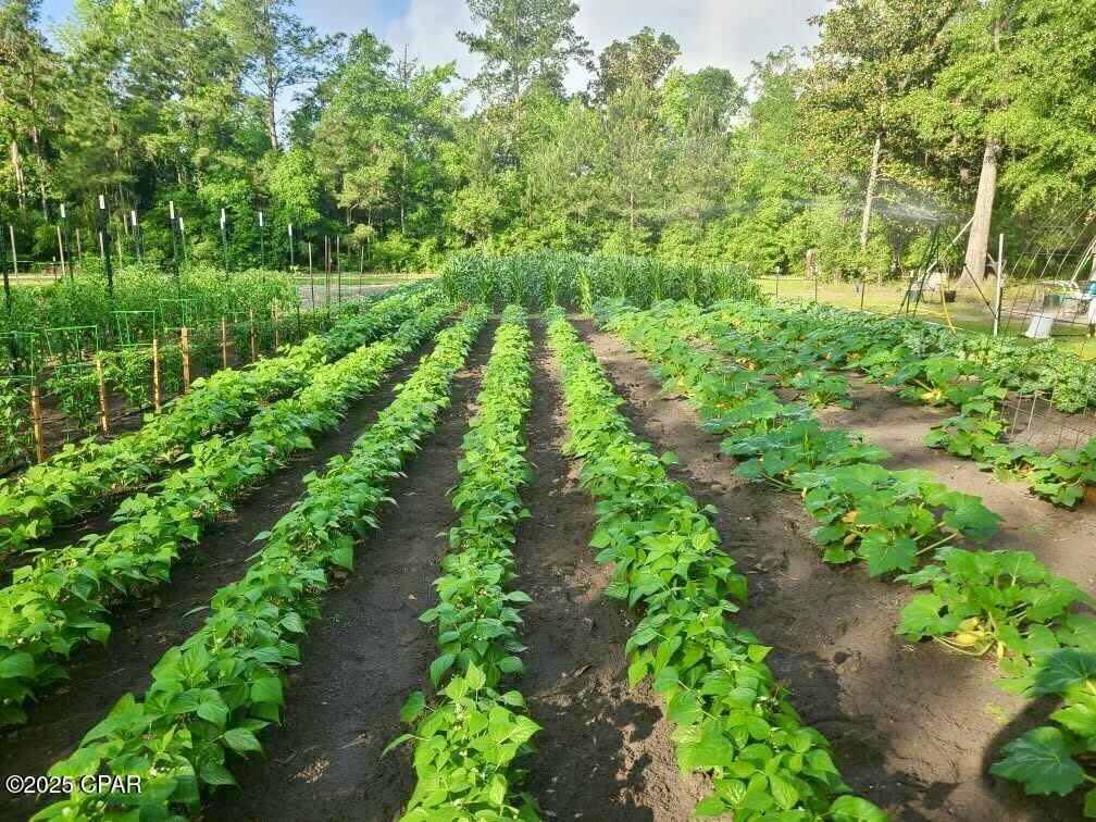 3130 Magnolia Way Vernon, FL 32462 - Photo 72 of 75