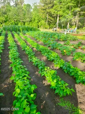 $849,000 | 3130 Magnolia Way, Vernon, FL 32462