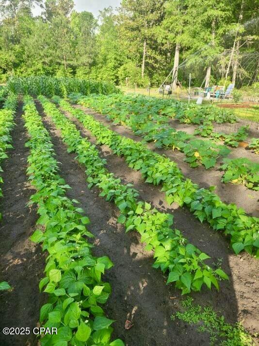 3130 Magnolia Way Vernon, FL 32462 - Photo 73 of 75