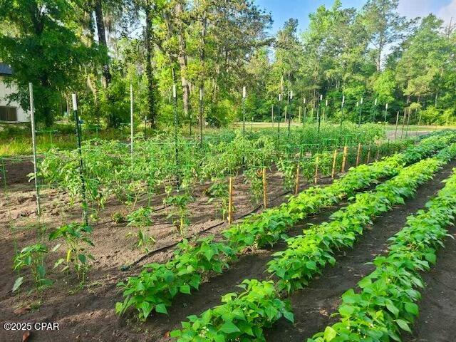 3130 Magnolia Way Vernon, FL 32462 - Photo 74 of 75