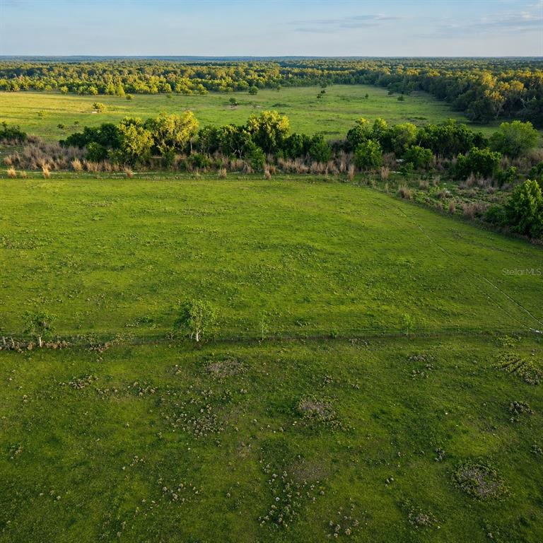 Mondon Hill Road Brooksville, FL 34601 - Photo 16 of 30 a view of a field with an ocean