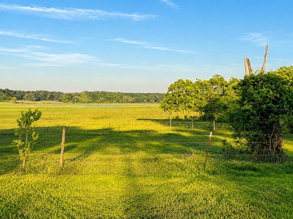 Mondon Hill Road Brooksville, FL 34601 - Photo 17 of 30
