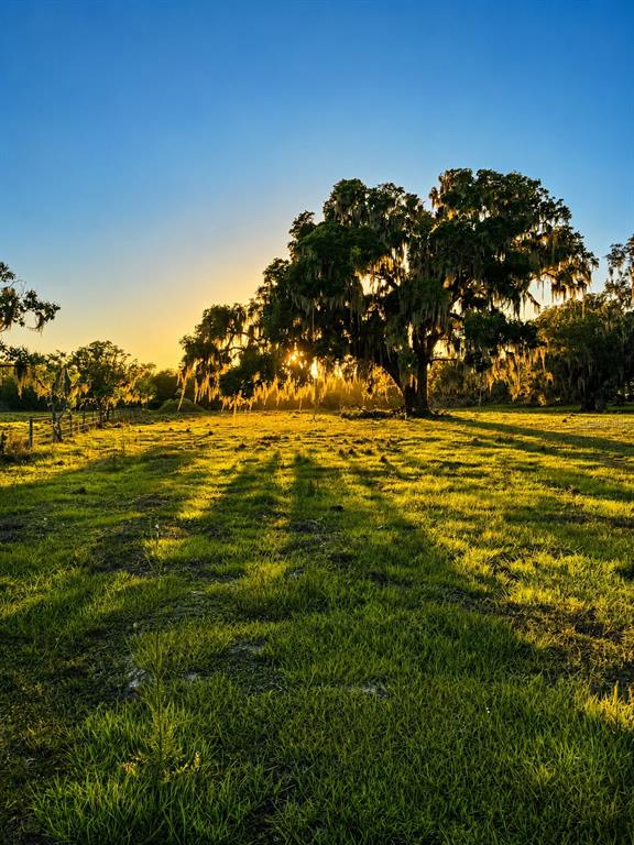 Mondon Hill Road Brooksville, FL 34601 - Photo 25 of 30 a view of an ocean