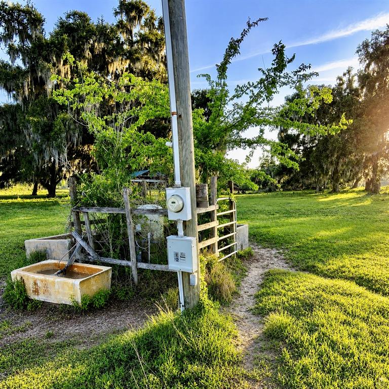 Mondon Hill Road Brooksville, FL 34601 - Photo 5 of 30 a view of a park with a bench
