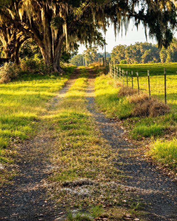 Mondon Hill Road Brooksville, FL 34601 - Photo 8 of 30 a view of an ocean